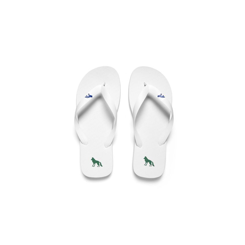 Chinelo-Basico-Masculino-Acostamento