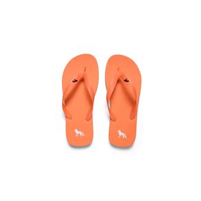 Chinelo-Basico-Masculino-Acostamento