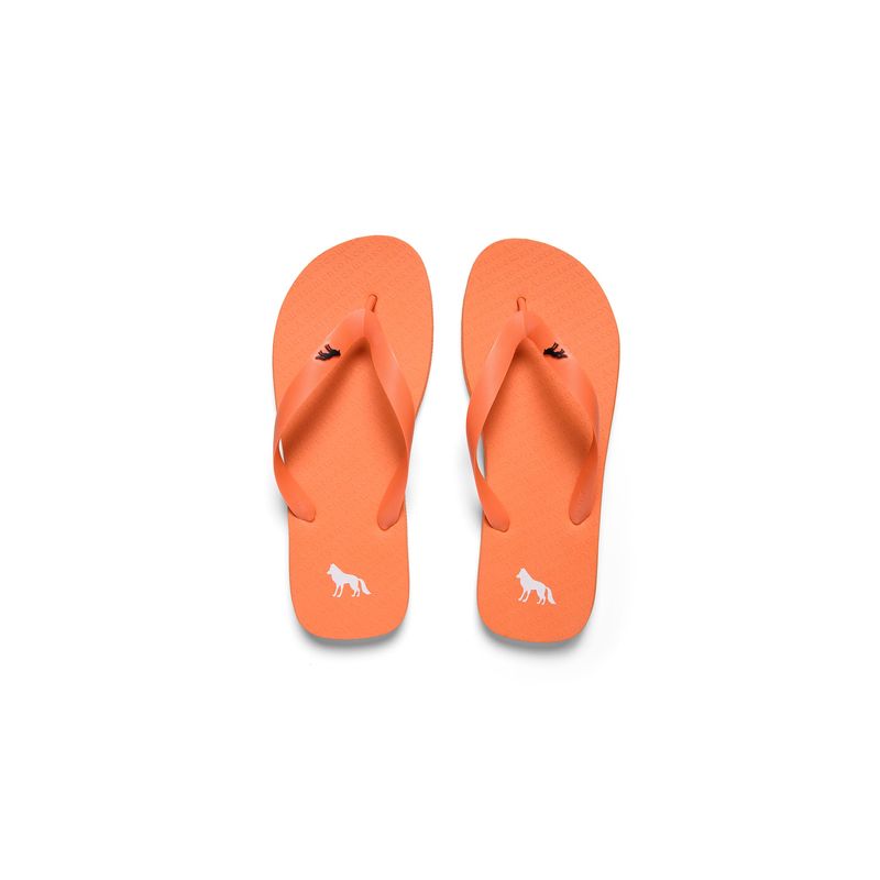 Chinelo-Basico-Masculino-Acostamento