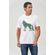 Camiseta-Lobo-Colorido-Masculina-Acostamento