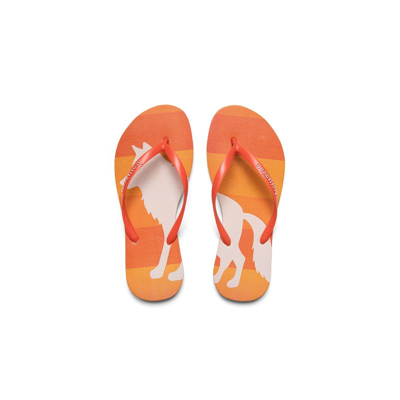 Chinelo-Icone-Feminino-Acostamento