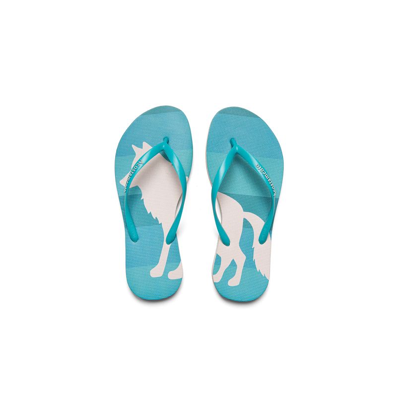 Chinelo-Icone-Feminino-Acostamento