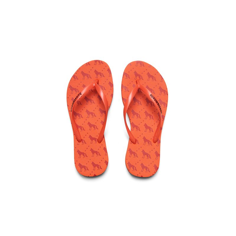 Chinelo-Wolf-Repeat-Feminino-Acostamento