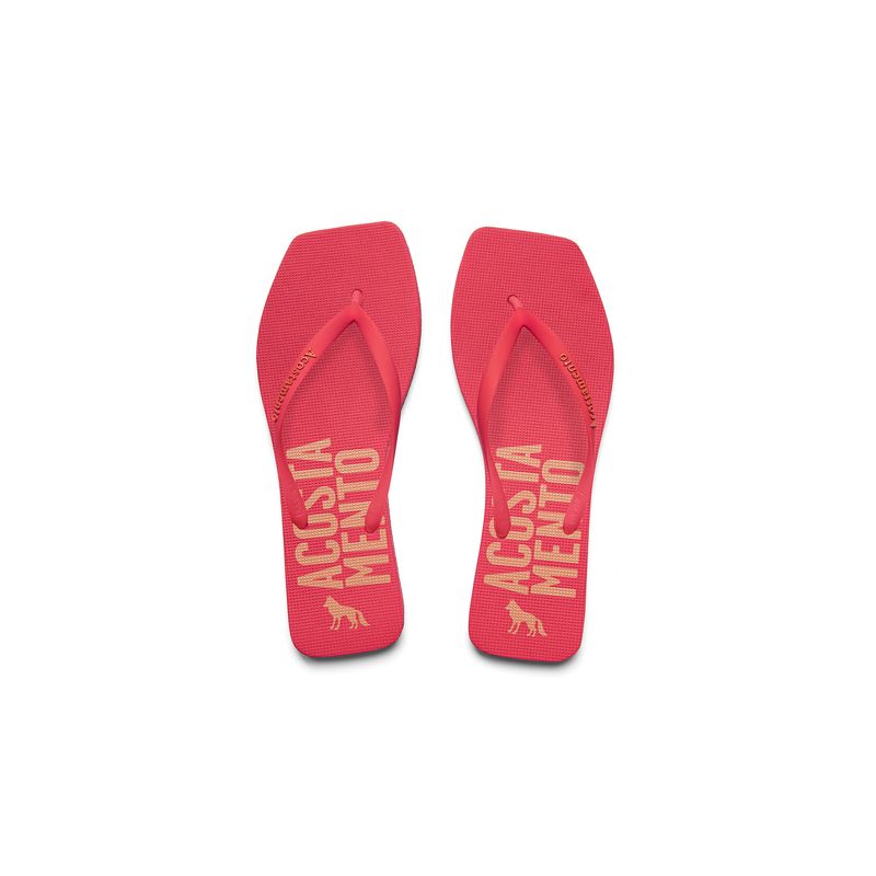 Chinelo-Logo-Feminino-Acostamento