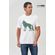 Camiseta-Lobo-Colorido-Masculina-Oversize-Acostamento