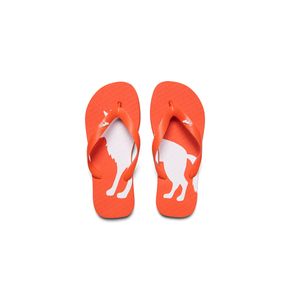 Chinelo-Wolf-Max-Young-Menino-Acostamento