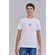 Camiseta-The-Rose-Young-Menino-Acostamento