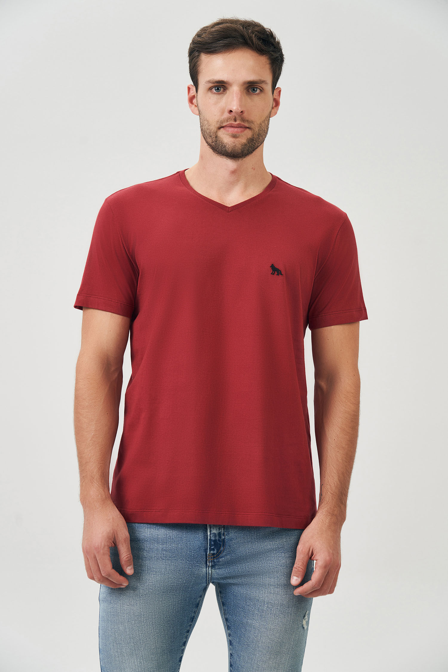 Camiseta Basic V Masculina Acostamento