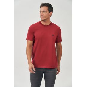 Camiseta-New-Basic-Masculina-Acostamento