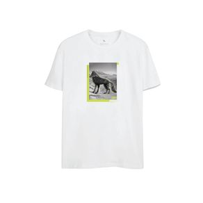 Camiseta-Mountains-Masculina-Acostamento