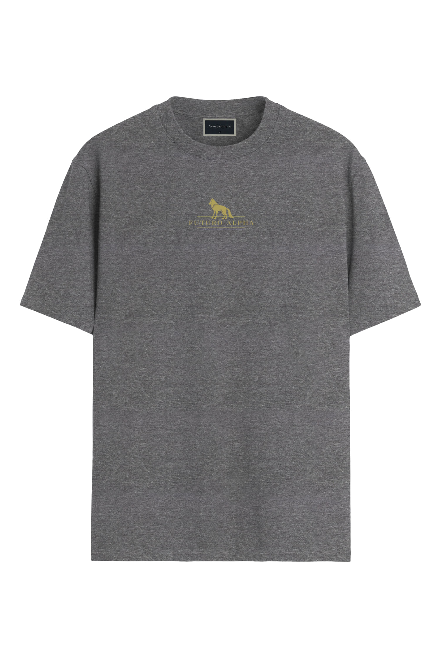 Camiseta Futuro Alpha Menino Acostamento Next