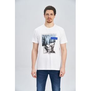 Camiseta-Alpine-Wolf-Masculina-Acostamento