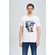 Camiseta-Alpine-Wolf-Masculina-Acostamento