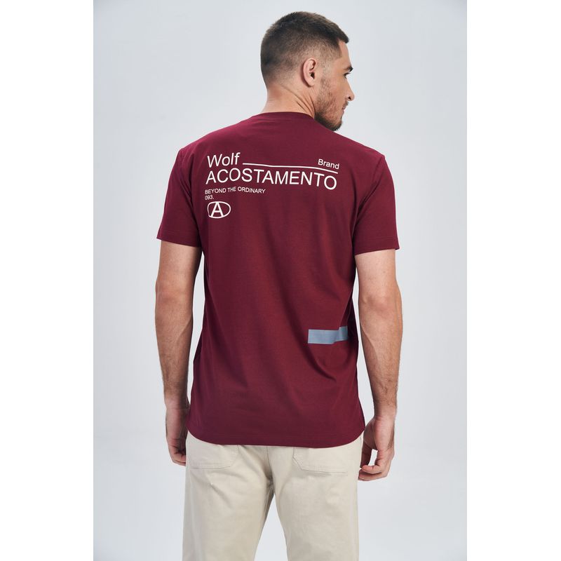 Camiseta-The-Ordinary-Masculina-Acostamento