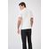 Polo-Detalhe-Color-Masculina-Acostamento