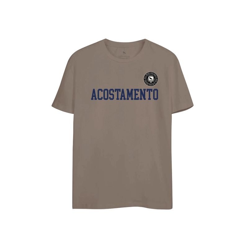 Camiseta-Letters-Teddy-Masculina-Acostamento