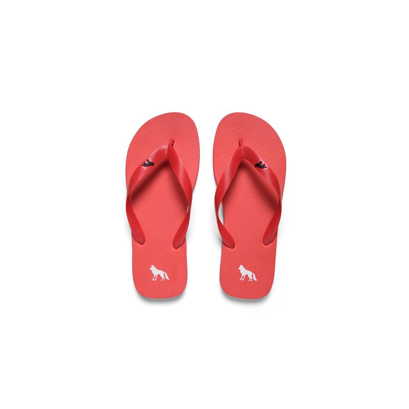 Chinelo-Basico-Masculino-Acostamento