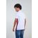 Polo-Its-a-Vibe-Masculina-Vicinal