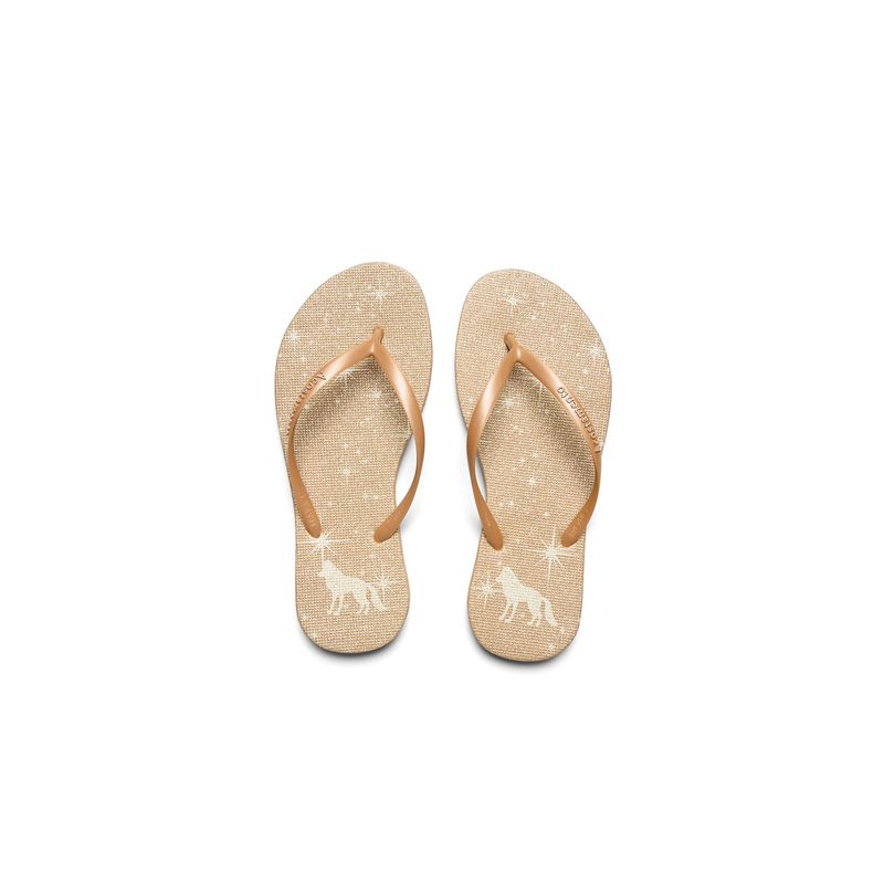 Chinelo-Star-Shinny-Feminino-Acostamento