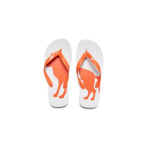 Chinelo-Lobo-Color-Masculino-Acostamento