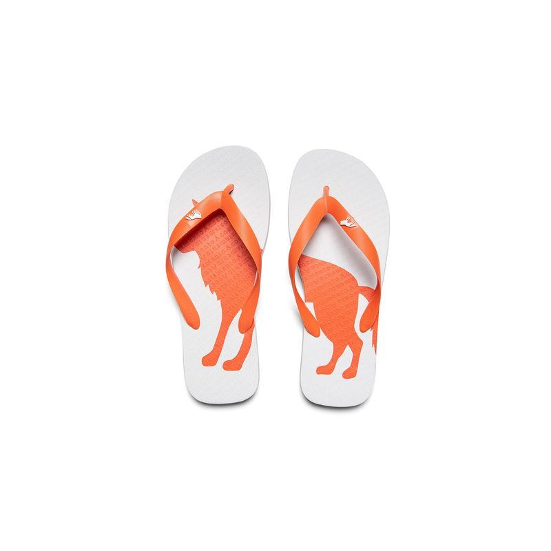 Chinelo-Lobo-Color-Masculino-Acostamento