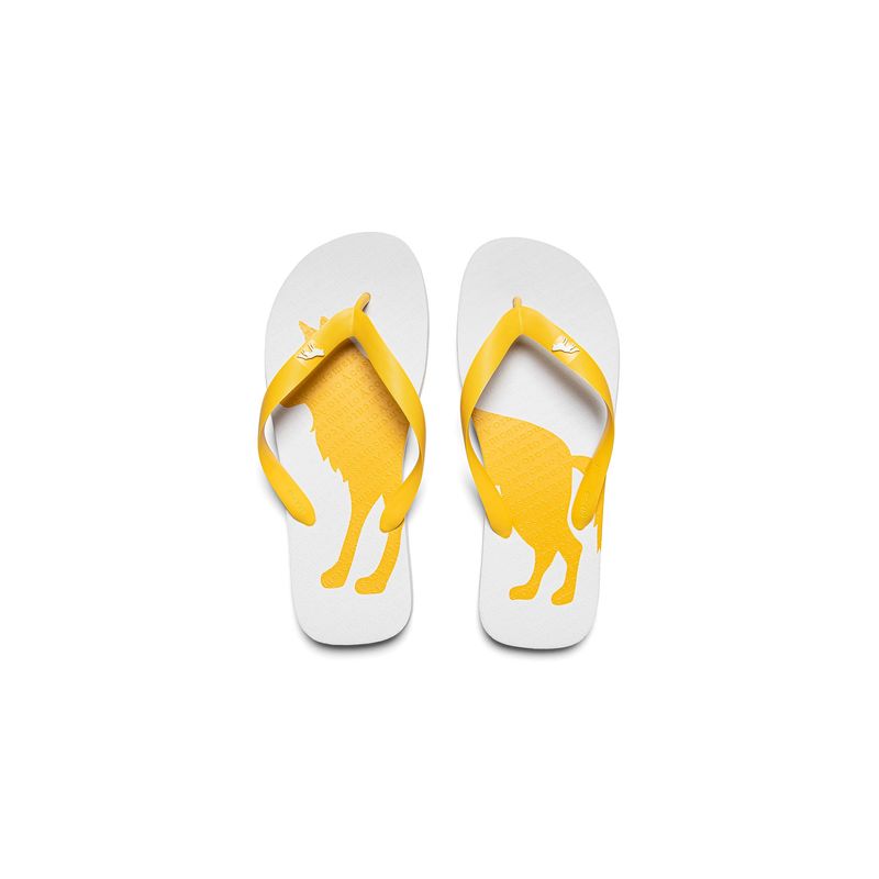 Chinelo-Lobo-Color-Masculino-Acostamento