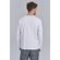 Camiseta-Manga-Longa-Journey-Masculina-Vicinal