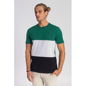 Camiseta-Block-Color-Masculina-Vicinal