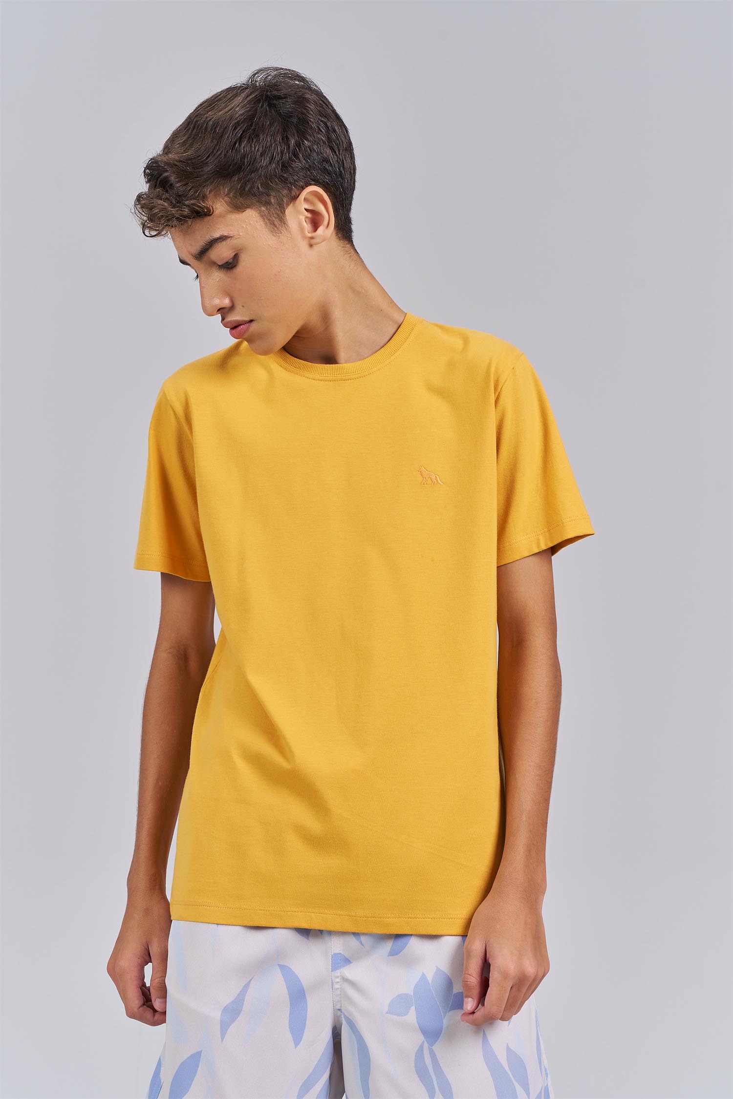 Camiseta Básica Menino Acostamento Next