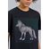 Camiseta-Box-Wolf-Menino-Acostamento-Next