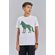 Camiseta-Lobo-Central-Menino-Acostamento-Next