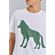 Camiseta-Lobo-Central-Menino-Acostamento-Next