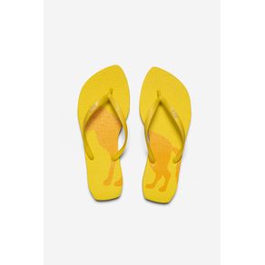 Chinelo-Lobo-Central-Feminino-Acostamento