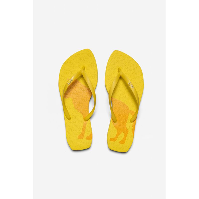 Chinelo-Lobo-Central-Feminino-Acostamento