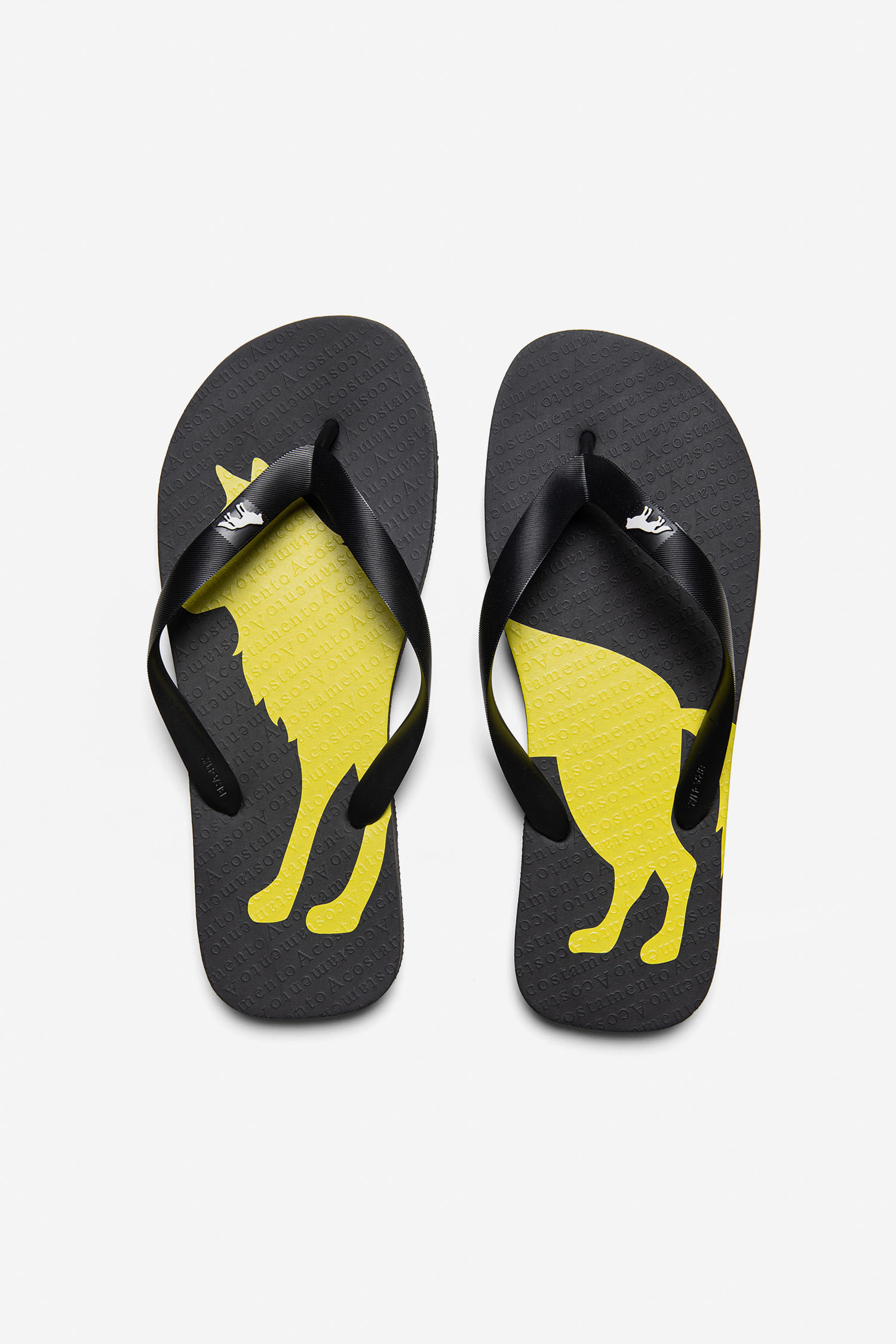 Chinelo Wolf Color Masculino Acostamento