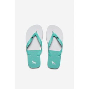 Chinelo-Recorte-Color-Masculino-Acostamento Chinelo-Recorte-Color-Masculino-Acostamento