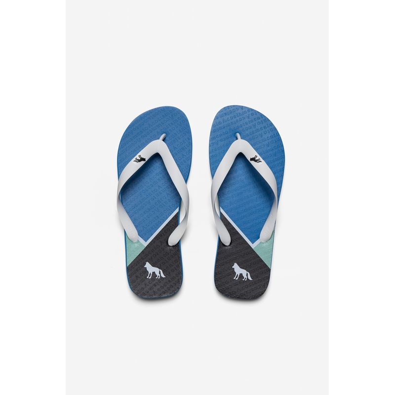 Chinelo-Nivel-de-Cores-Masculino-Acostamento