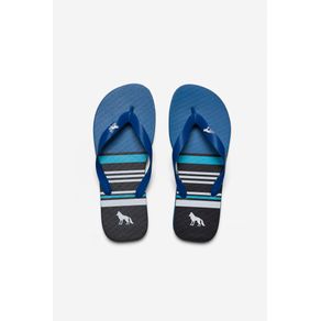 Chinelo-Linha-em-Foco-Masculino-Acostamento