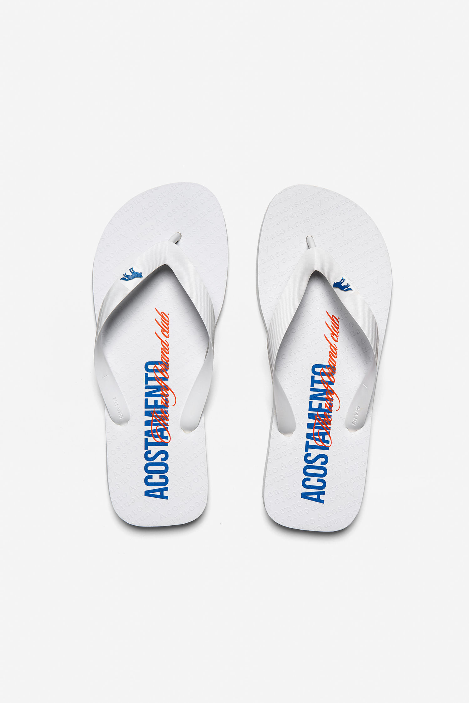 Chinelo Classic Letters Masculino Acostamento