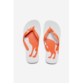 Chinelo-O-Lobo-Masculino-Acostamento