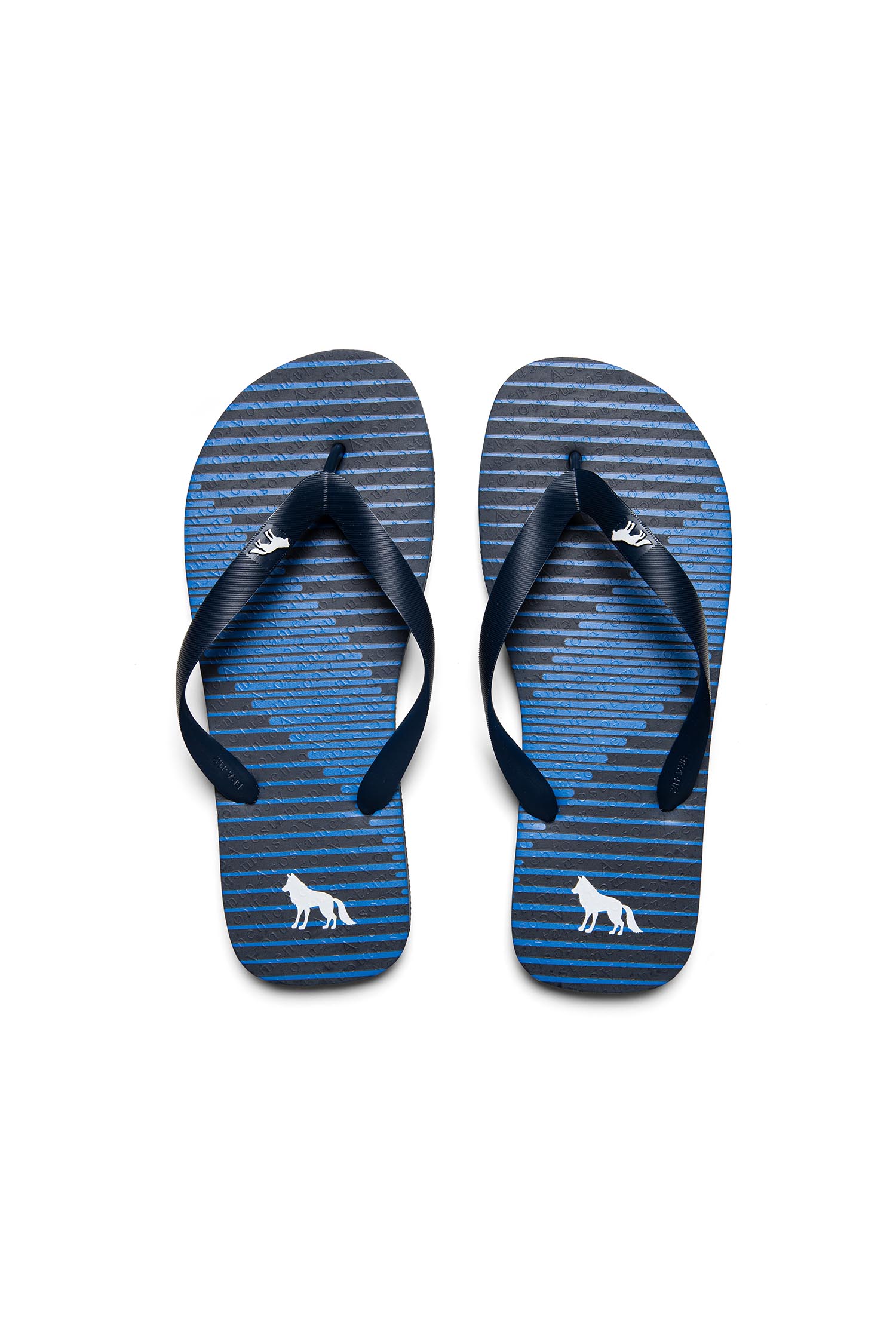 Chinelo Linhas Online Masculino Acostamento