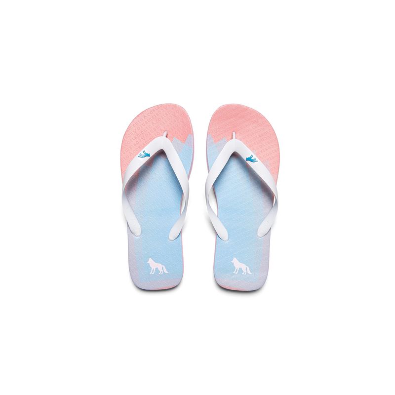 Chinelo-Degrade-Masculino-Acostamento