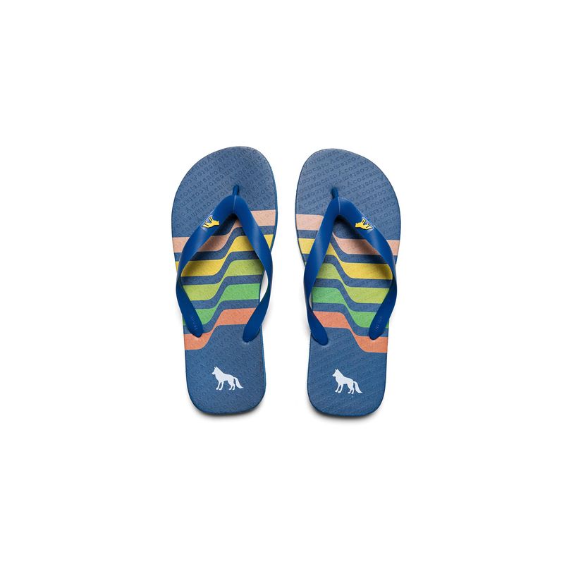 Chinelo-Linhas-Coloridas-Masculino-Acostamento