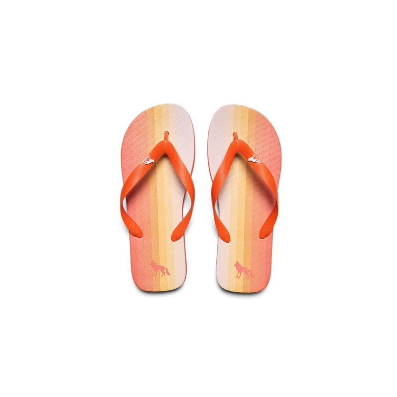 Chinelo-Color-Summer-Masculino-Acostamento