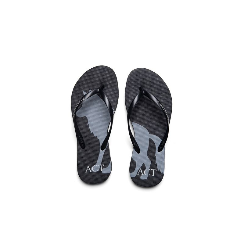 Chinelo-Fashion-Wolf-ACT-Feminino