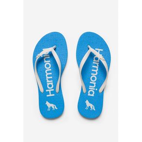 Chinelo-Palavra-Positiva-ACT-Feminino Chinelo-Palavra-Positiva-ACT-Feminino