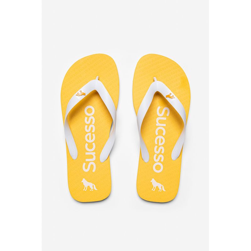 Chinelo-Sucesso-Masculino-Acostamento