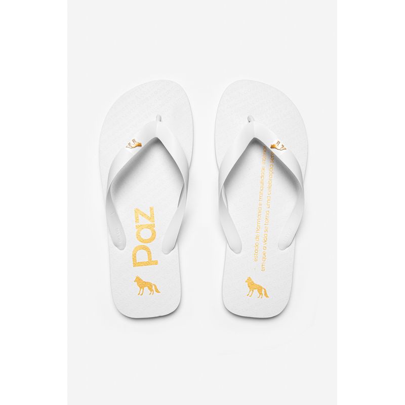 Chinelo-Significado-Paz-Masculino-Acostamento