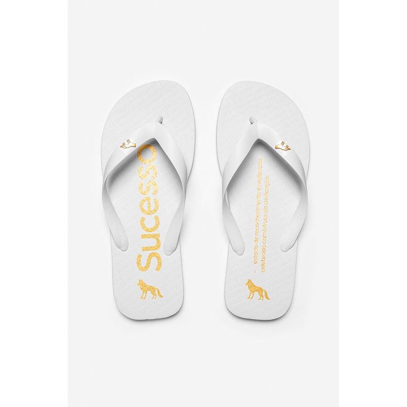 Chinelo-Significado-Sucesso-Masculino-Acostamento