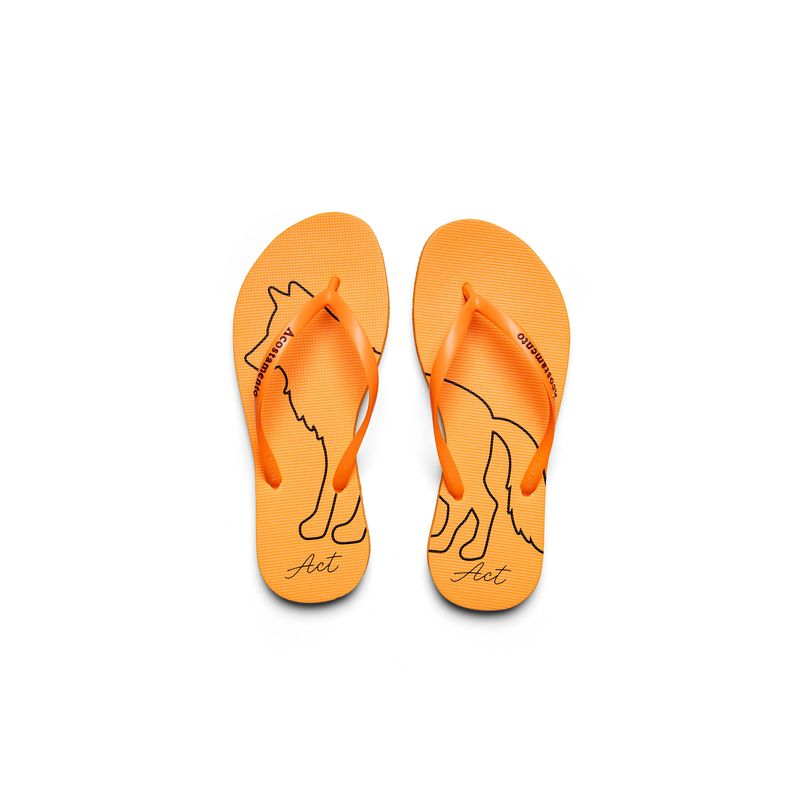Chinelo-Lobo-ACT-Feminino